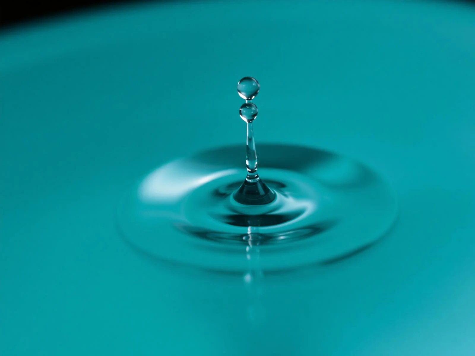 Water droplet macro