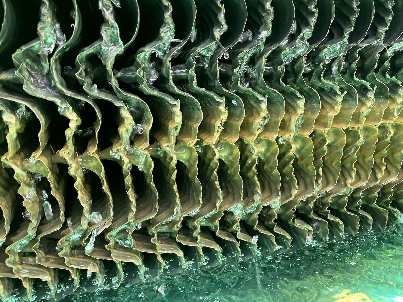Biofilm slime coating cooling tower fill